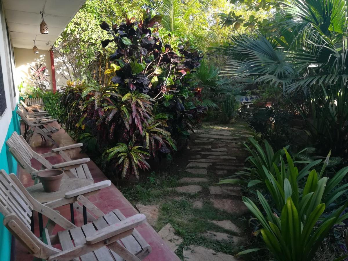 Hostal Harvest House León Esterno foto