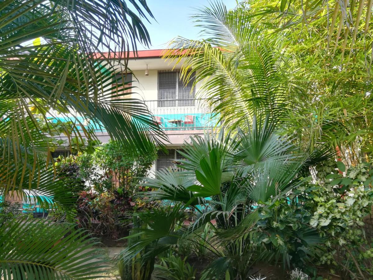 Hostal Harvest House León Esterno foto