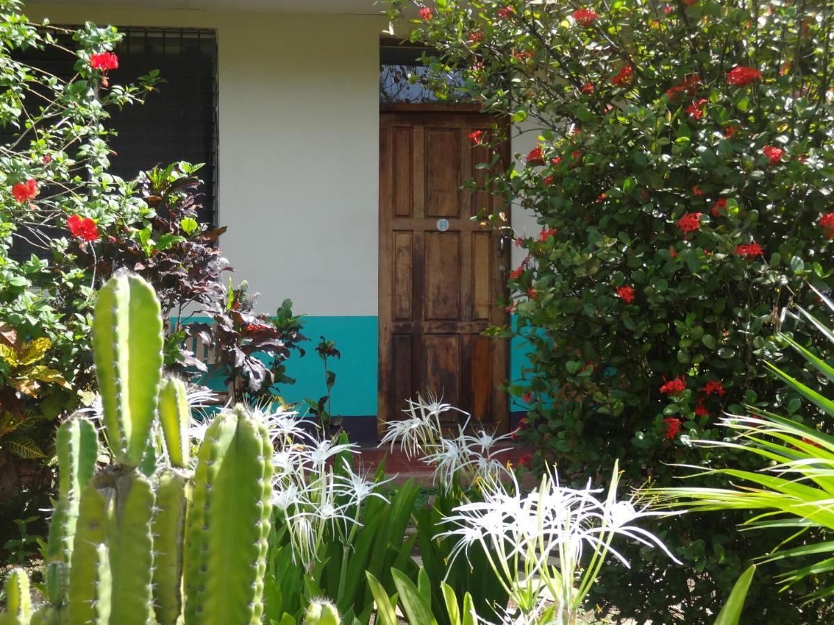 Hostal Harvest House León Esterno foto